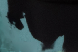 BGD